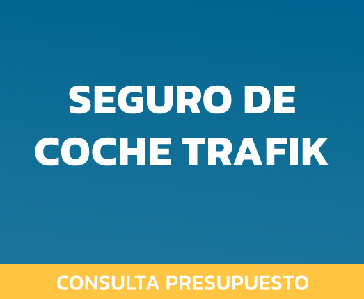 seguro de coche trafik
