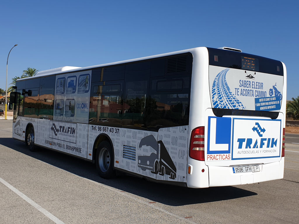 autobus carnet elche